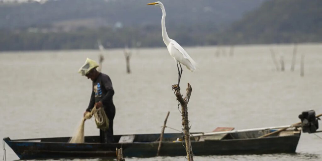 mudancas-aprovadas-para-o-seguro-defeso-previnem-fraudes,-diz-relator