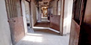 caminhos-da-reportagem-mostra-desafios-para-fechar-manicomios