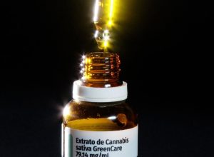 anvisa-aprova-cultivo-de-cannabis-por-empresas-e-amplia-acesso