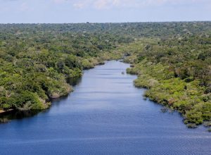 piranhas-ajudam-no-monitoramento-ambiental-dos-rios-amazonicos